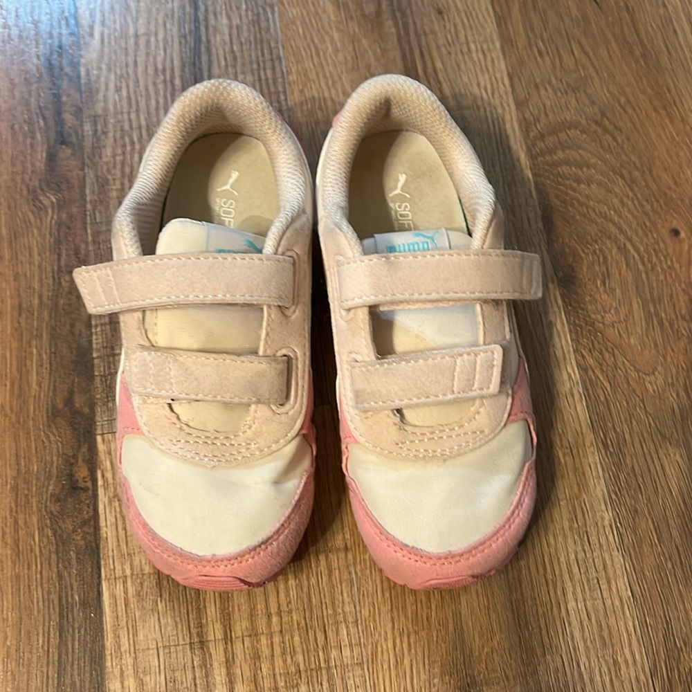 Pumas